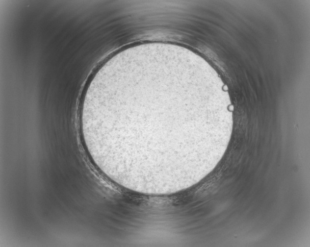 X0000072520848200608111718