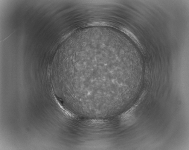 X0000072520849200608111718