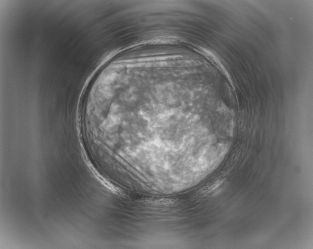 X0000072520851200608111718