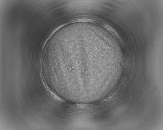 X0000072520852200608111718