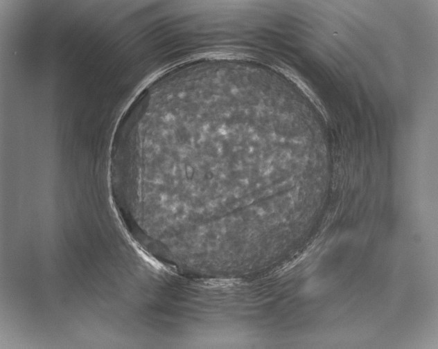 X0000072520853200608111718