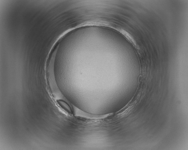 X0000072520854200608111718