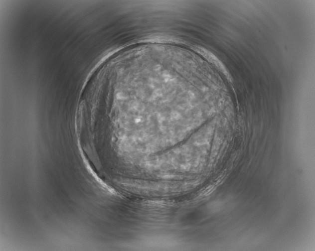 X0000072520855200608111718