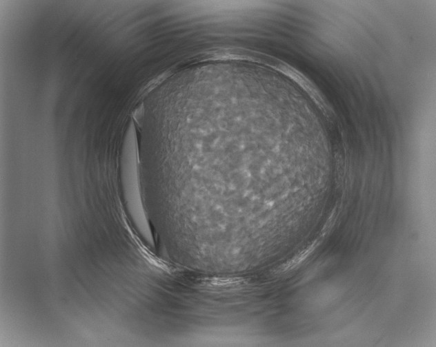 X0000072520857200608111718