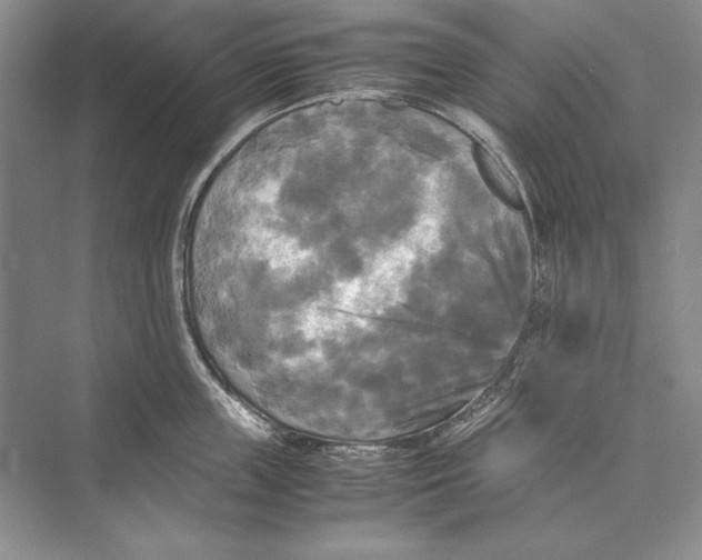 X0000072520859200608111718