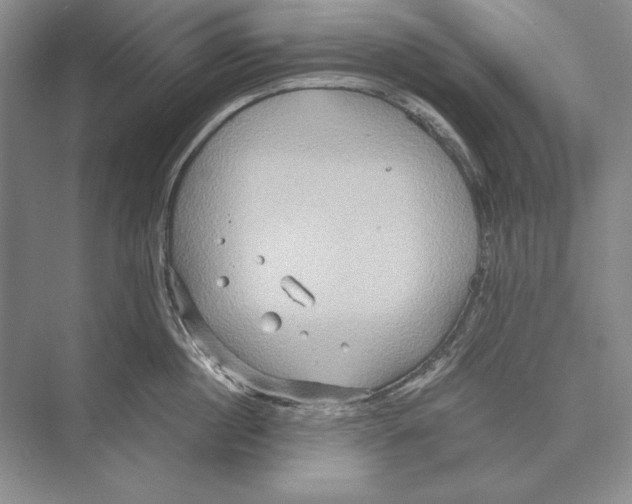 X0000072520860200608111718