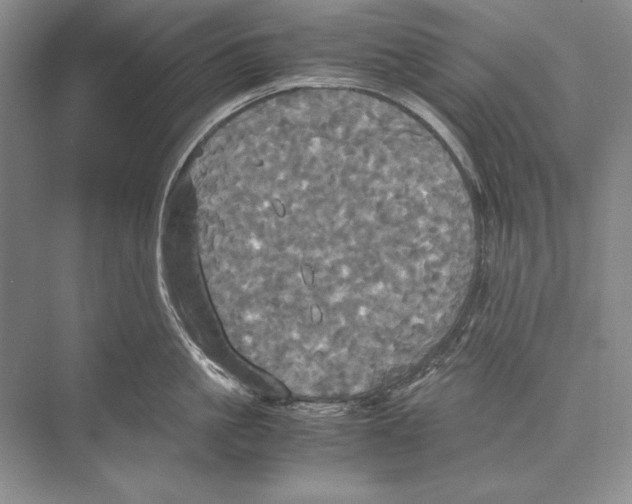 X0000072520861200608111718