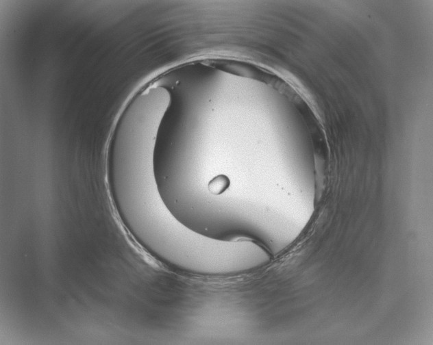 X0000072520862200608111718