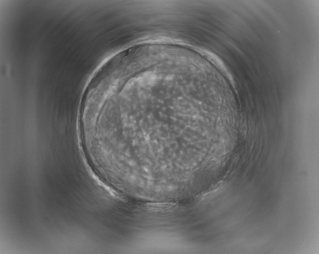 X0000072520863200608111718