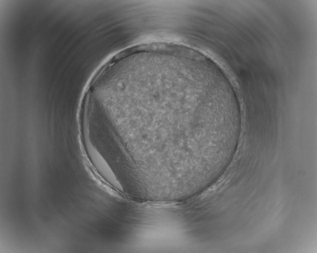 X0000072520864200608111718