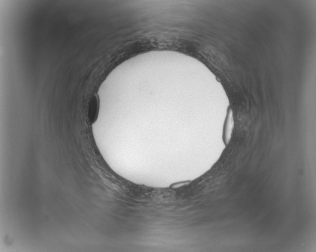 X0000072520865200608111717