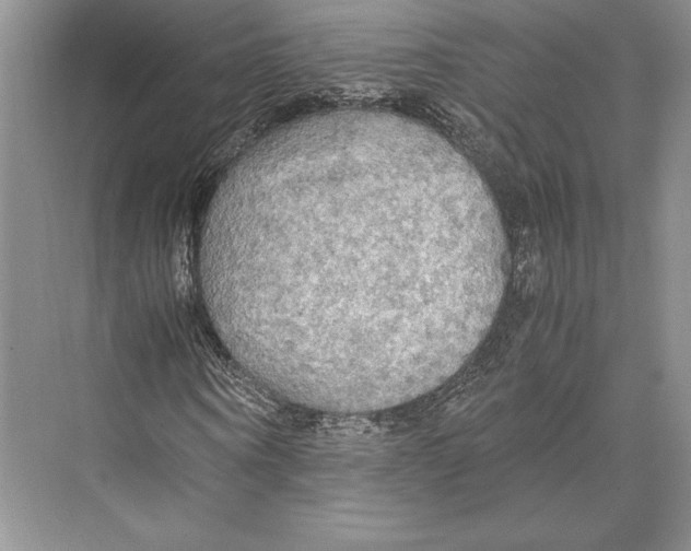 X0000072520866200608111717