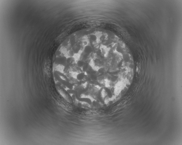 X0000072520867200608111717