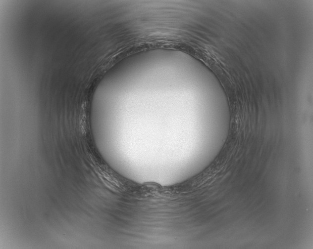 X0000072520868200608111717