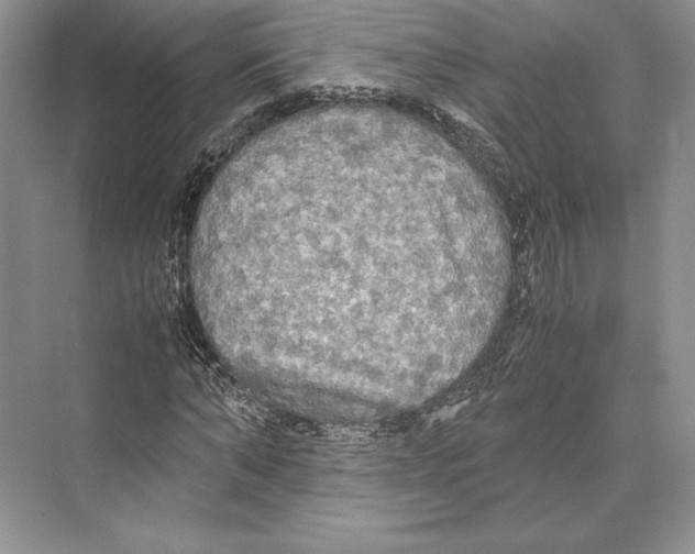 X0000072520870200608111717