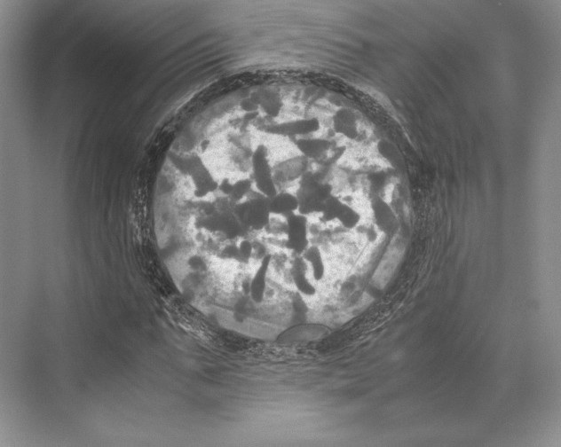 X0000072520871200608111717