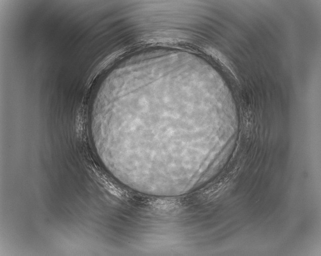 X0000072520874200608111717