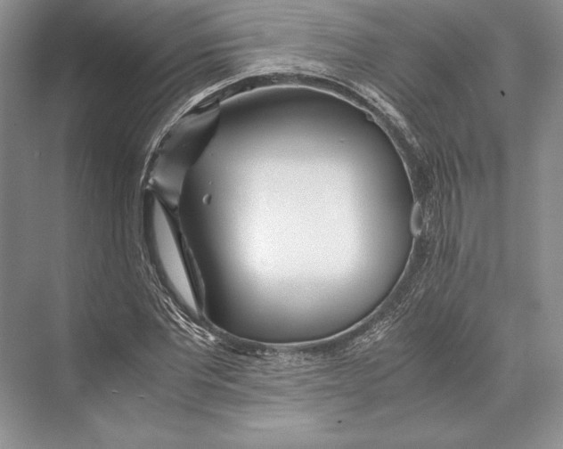 X0000072520877200608111717