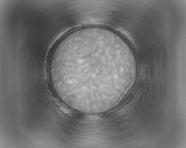 X0000072520878200608111717