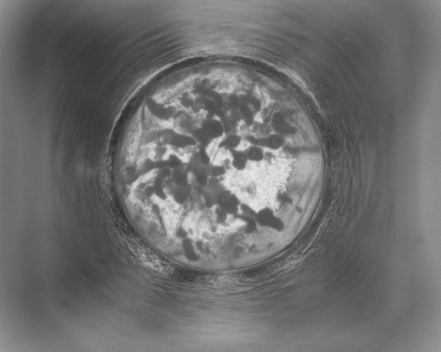 X0000072520879200608111717