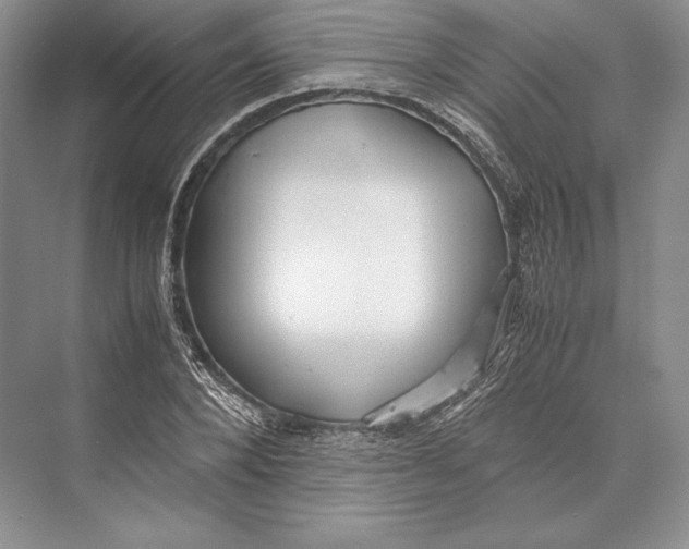 X0000072520880200608111717