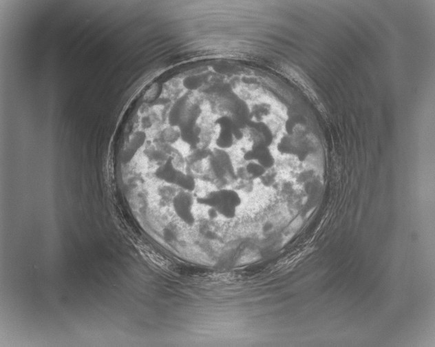 X0000072520883200608111717