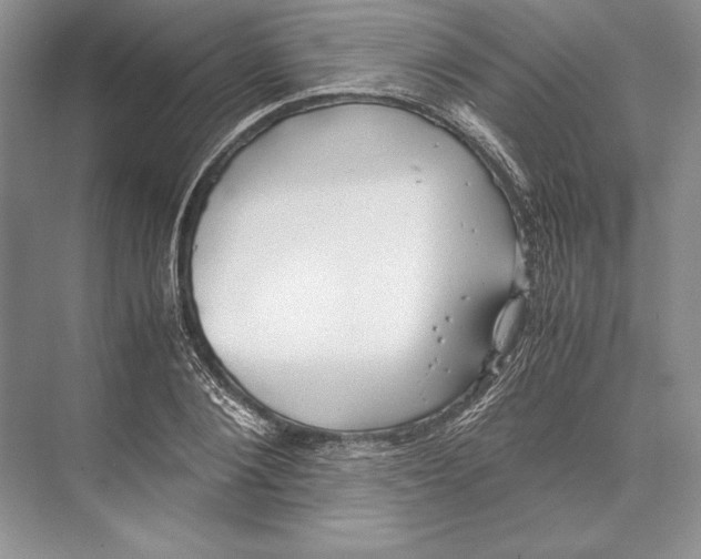 X0000072520884200608111717