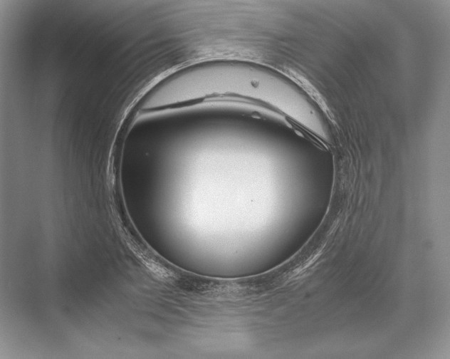 X0000072520885200608111717