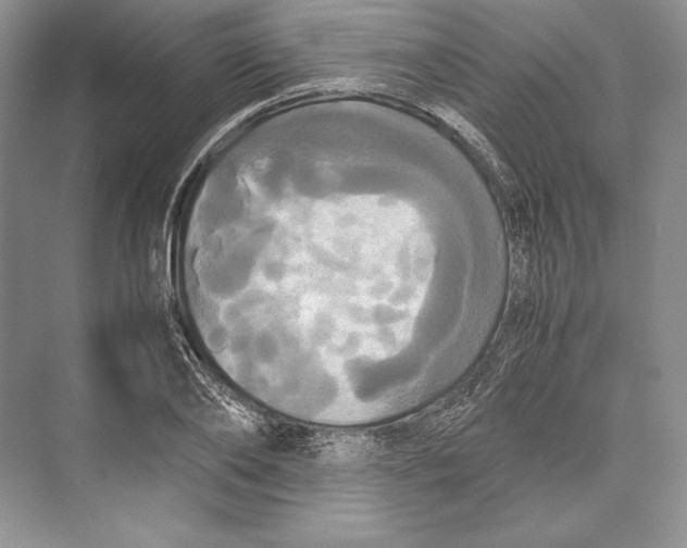 X0000072520886200608111717