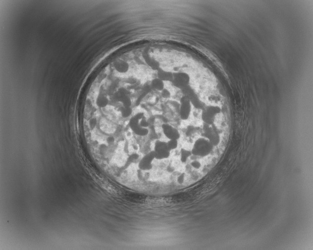 X0000072520887200608111717