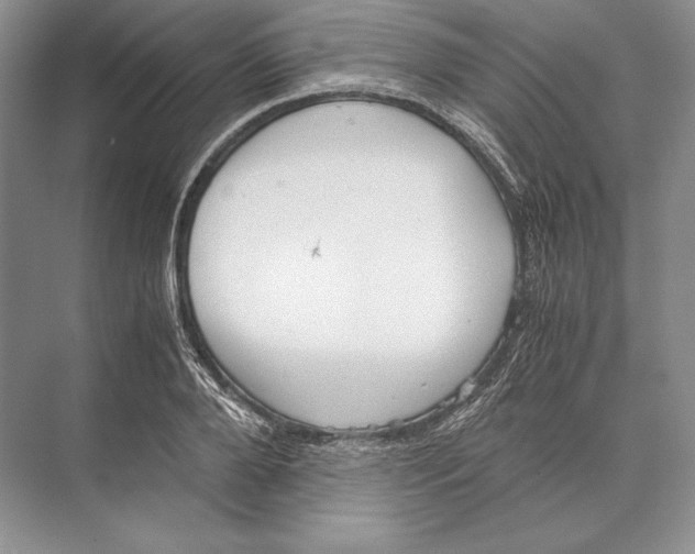 X0000072520888200608111717