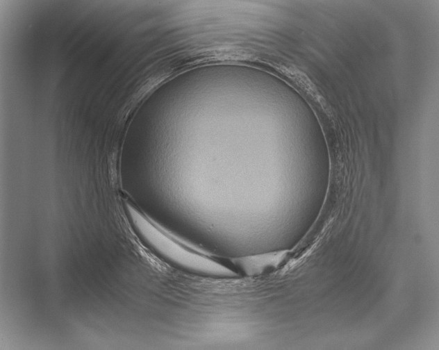 X0000072520889200608111717