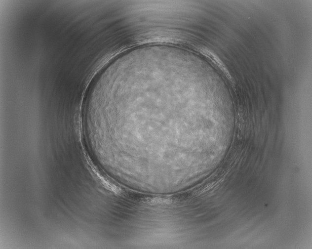 X0000072520890200608111717