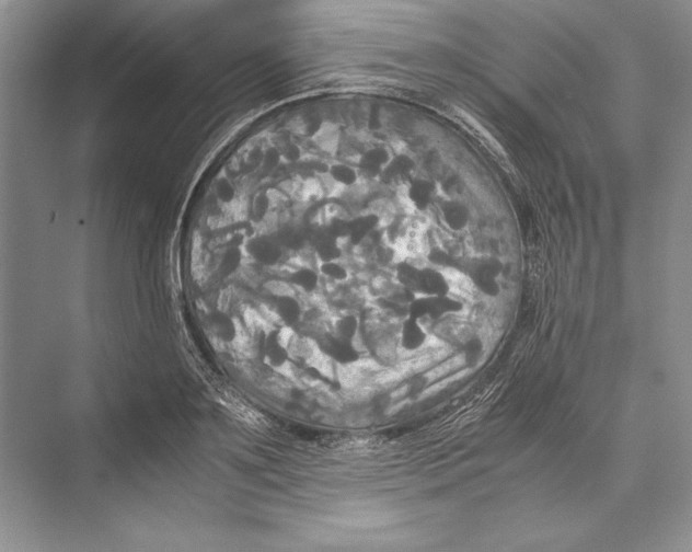 X0000072520891200608111717