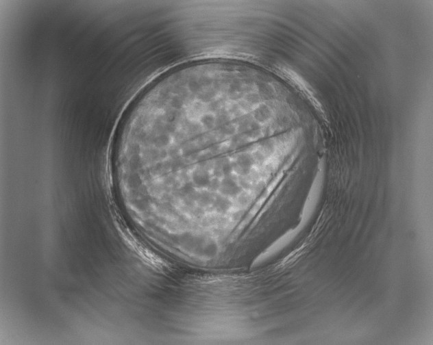 X0000072520892200608111717