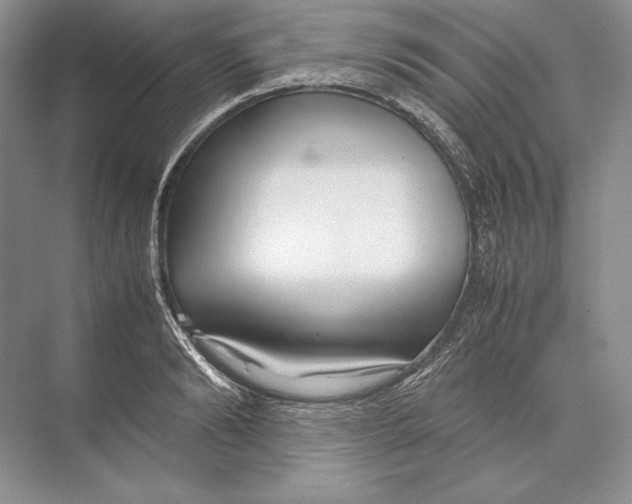 X0000072520894200608111717