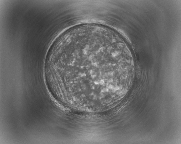 X0000072520895200608111717