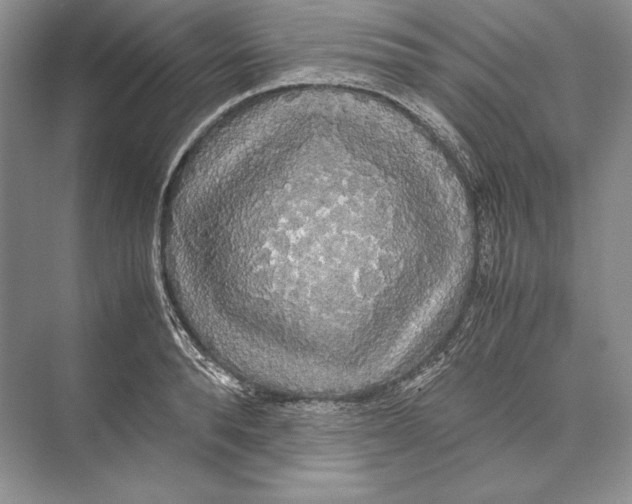 X0000072520896200608111717