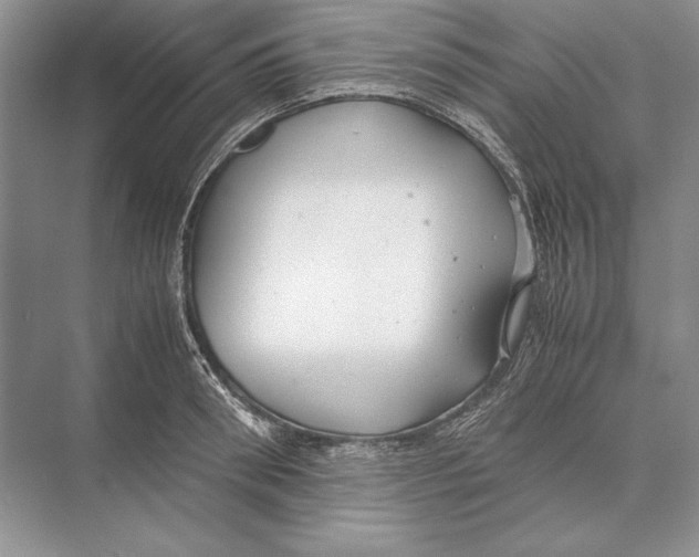 X0000072520898200608111717