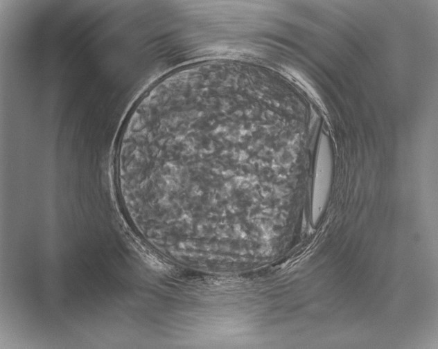 X0000072520899200608111717