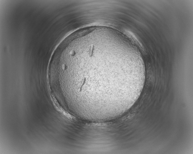 X0000072520900200608111717