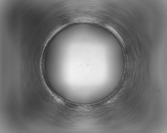 X0000072520901200608111717