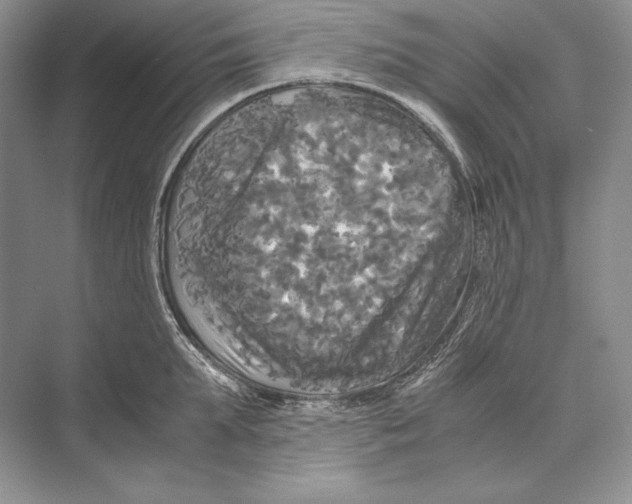 X0000072520903200608111717