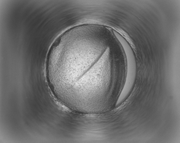 X0000072520904200608111717