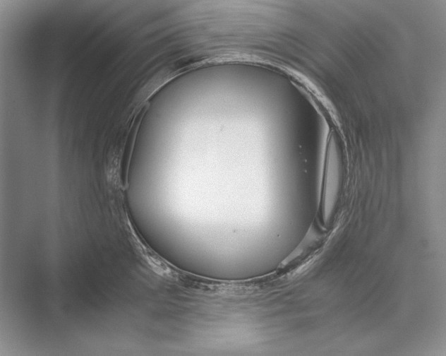 X0000072520905200608111717