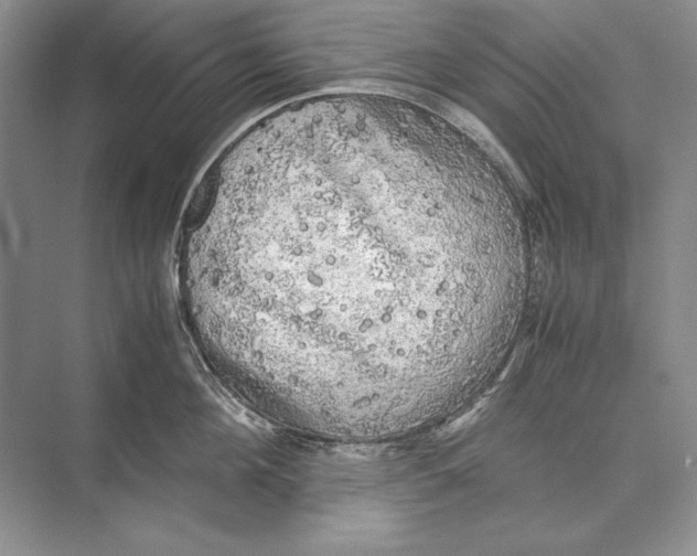 X0000072520908200608111717