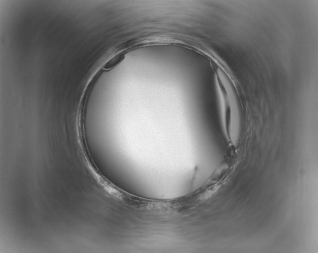 X0000072520909200608111717