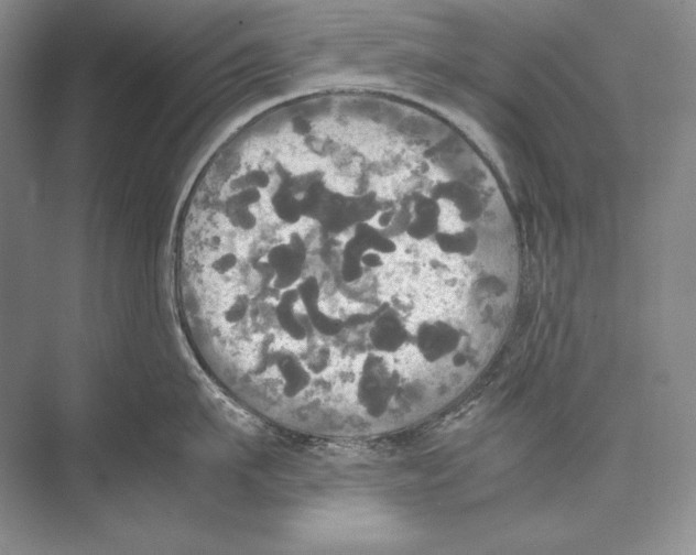 X0000072520911200608111717