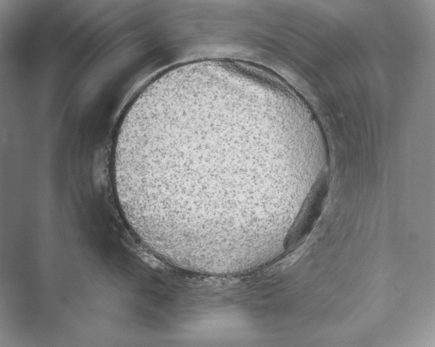 X0000072520912200608111717