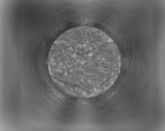 X0000072520913200608111716